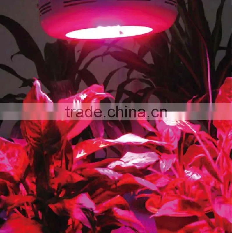 LED grow light