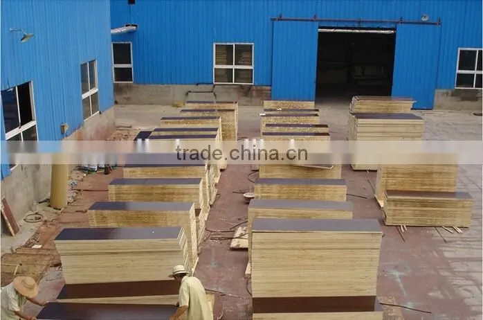 Film face plywood Plywood with Competitive price for construction