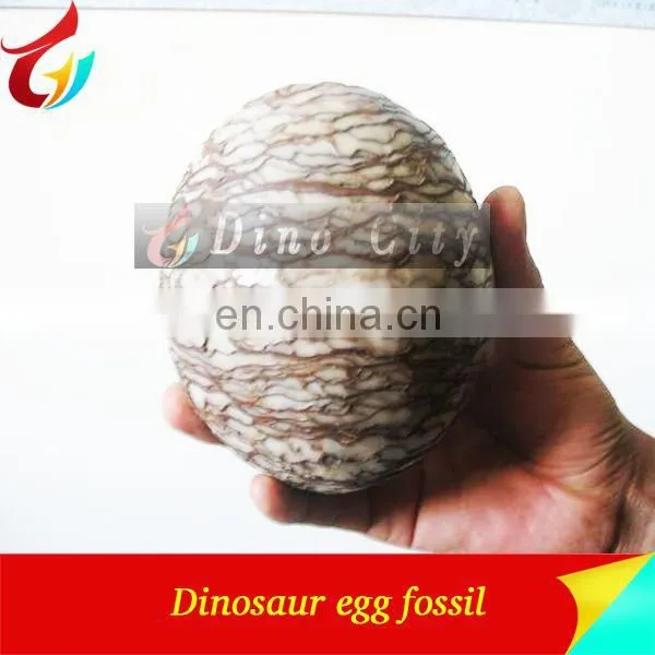 Original Size Dinosaur Egg Fossil for Sell