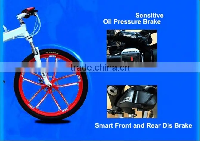 (160431) Hot sale cheap bicycle for sale two wheels for kids or adults folding bike