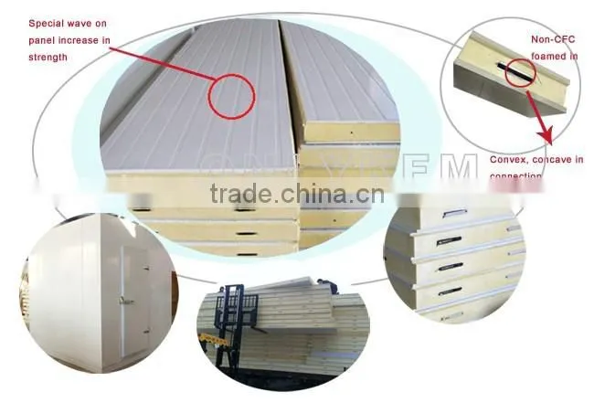 china commercial freezer for fish and chicken