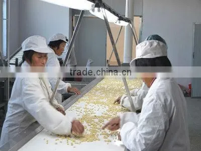 groundnut kernels peanuts