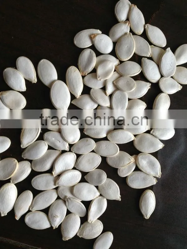 organic pumpkin seeds in shell manufacturer