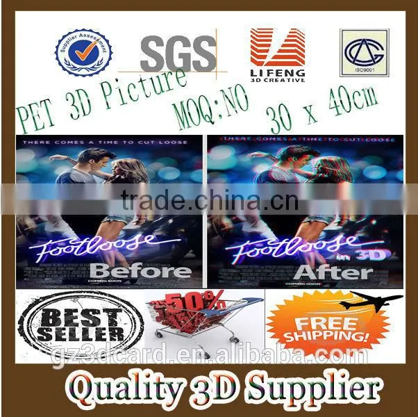 Guangzhou lifeng New 3d plastic lenticular rulers