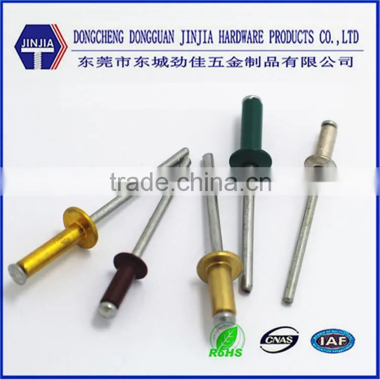 All kind Colored blind rivet