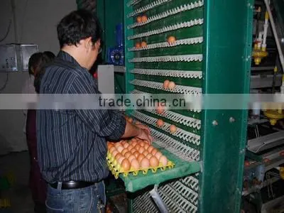 practical design layer chicken cage for pakistan chicken farm