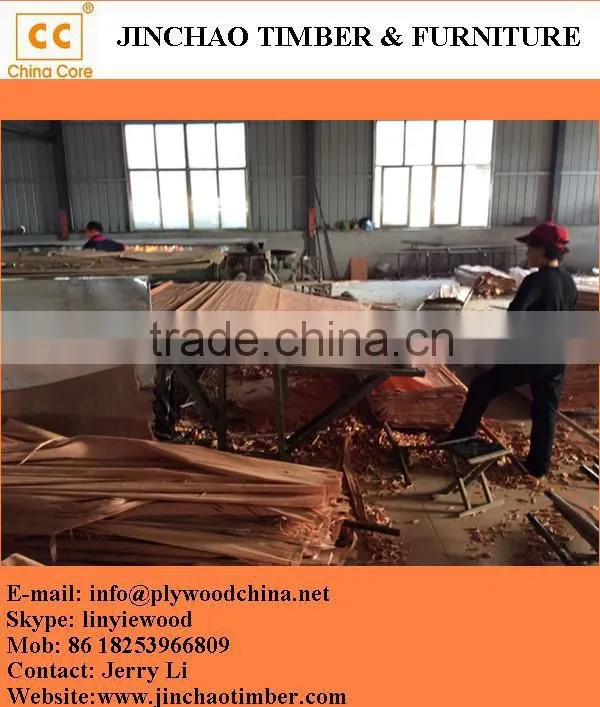 wood veneer used for plywood/engineered wood veneer/PLB veneer