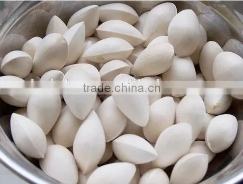 100kg/h gingko peeling shelling equipment in 2015