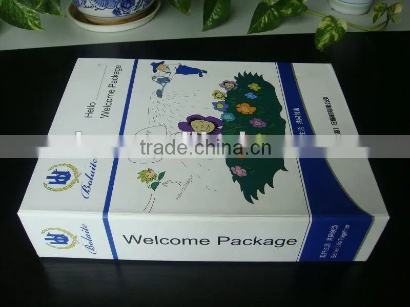High Quality Logo Printed Paper File