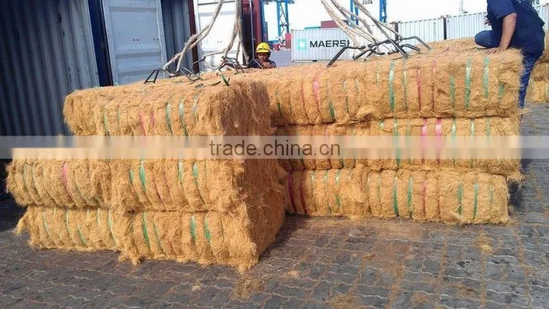 Coconut Fiber QQ: 2598494113