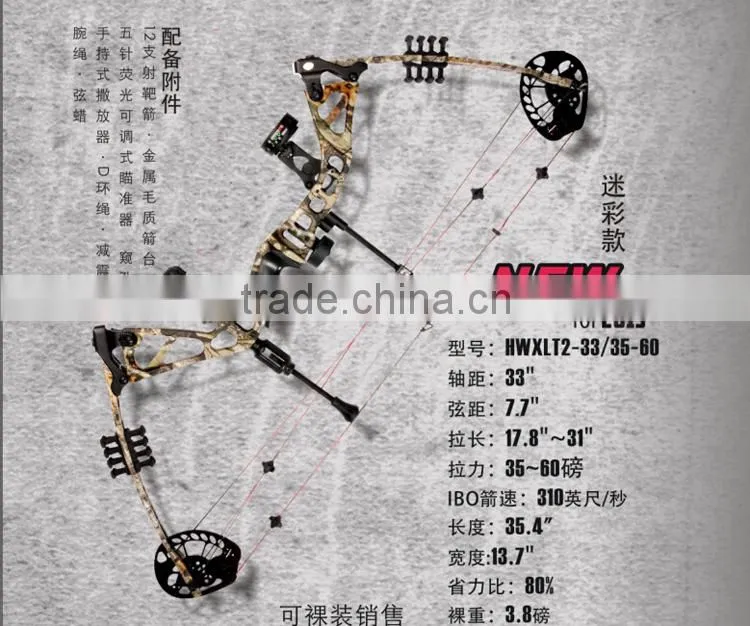 China hunting Compound Bow 195 china archery bow for sale 310 fps Bow