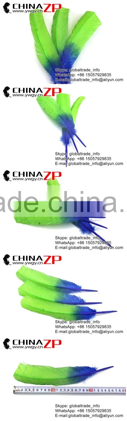 Alibaba ZPDECOR Natural Feather Dyed Blue Green Ombre Bicolourable Turkey Feathers for Party Decoration