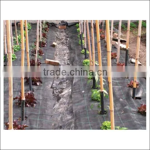 Black spunbonded weed mat for weed control