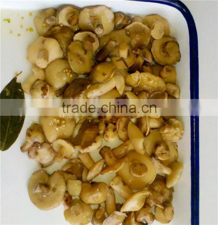 CANNED SUILLUS MUSHROOM