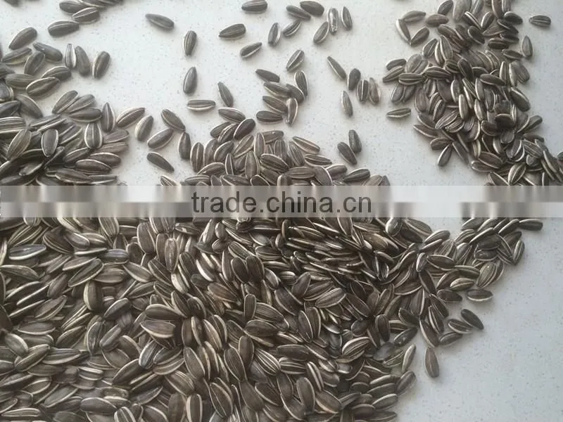 Chinese Sunflower seeds 5009 with 270-280pcs