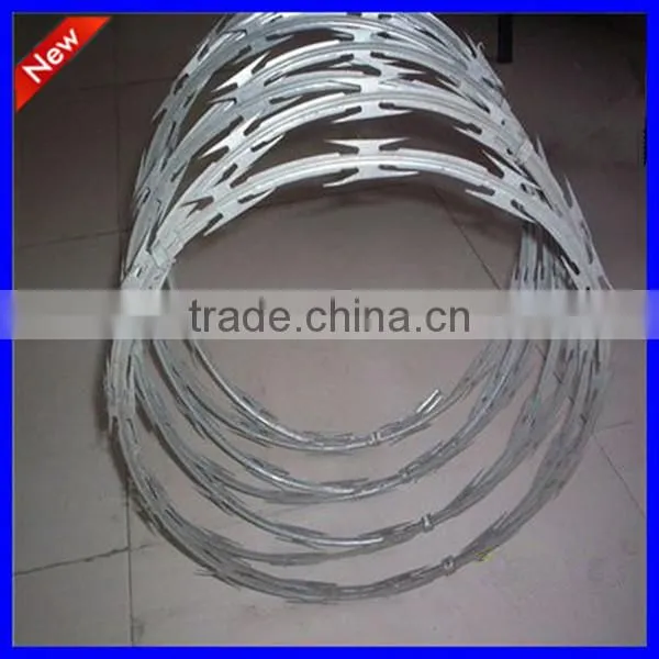 Chaina whosale razor barbed wire spike strips