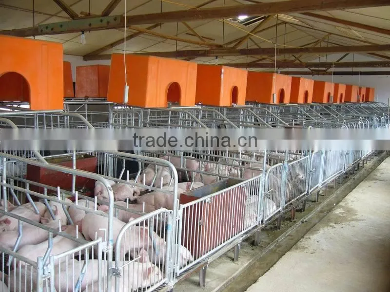 Pig farm in india BMC material pig farrowing pens used farrowing crates