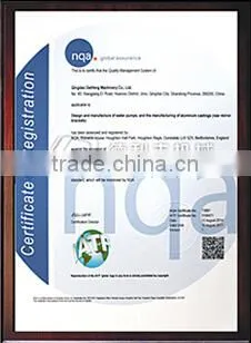 automobile water pump
