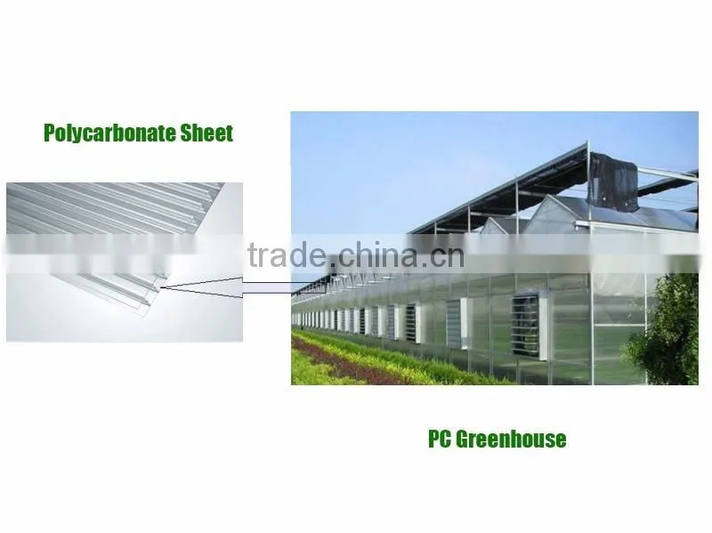 Multi Span Polycarbonate Sheet Greenhouse