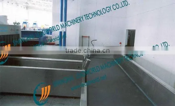 curve airpor conveyor belt