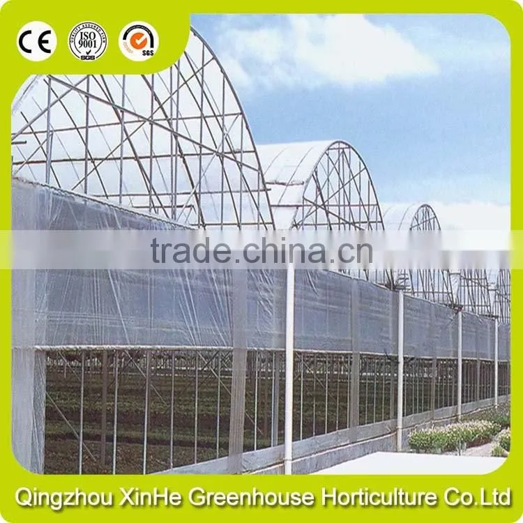 Commercial Multi-Span Greenhouses For Vegetables Manufacturer