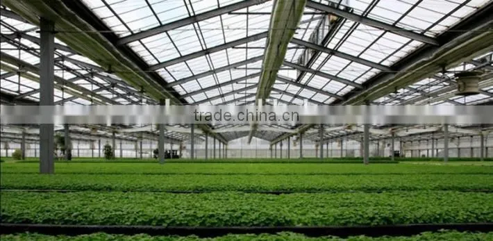 The sunshine board greenhouse for vegetables