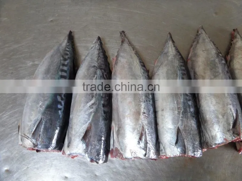 Frozen Bonito HGT