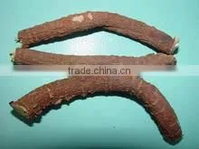 Licorice Extract