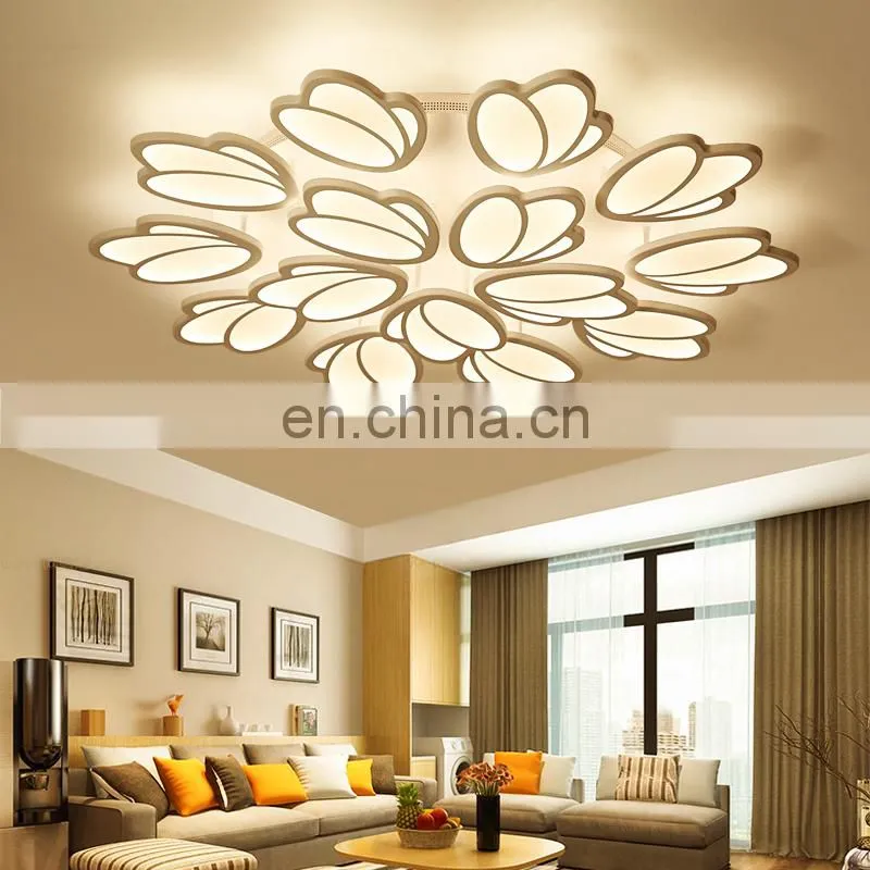 Modern simple led ceiling light for dining room
