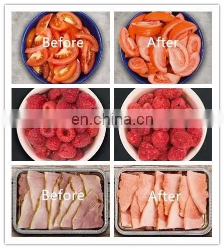 Food freeze dryers sale mini freeze drying machine