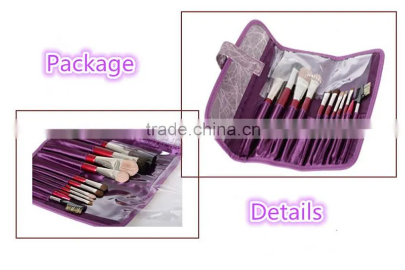 Professional 11pcs cosmetic makeup brush set