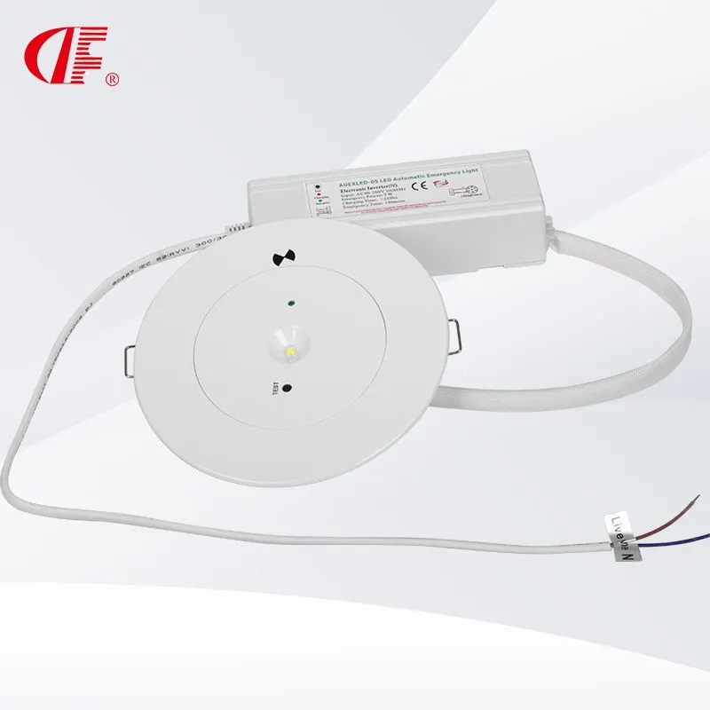 led emergency down light