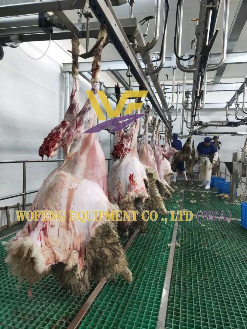 WFA Bleeding line (3)