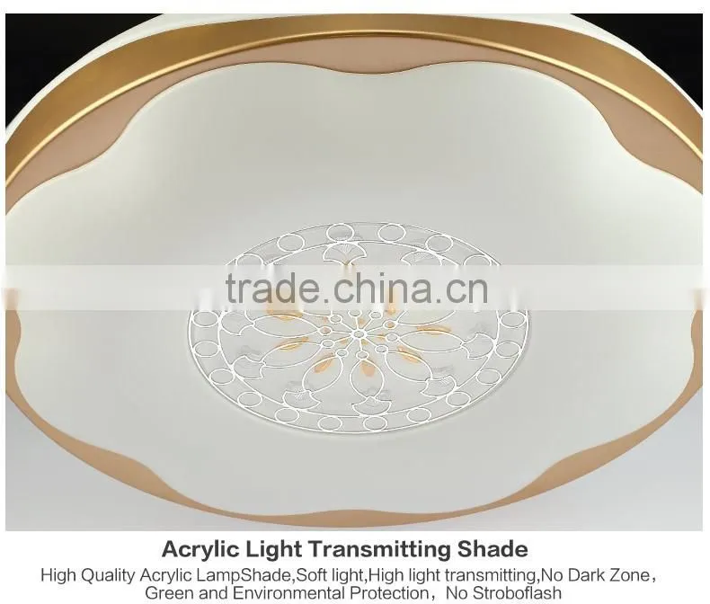 2016 hot sales mount ceiling light big for living room 80W to 160W
