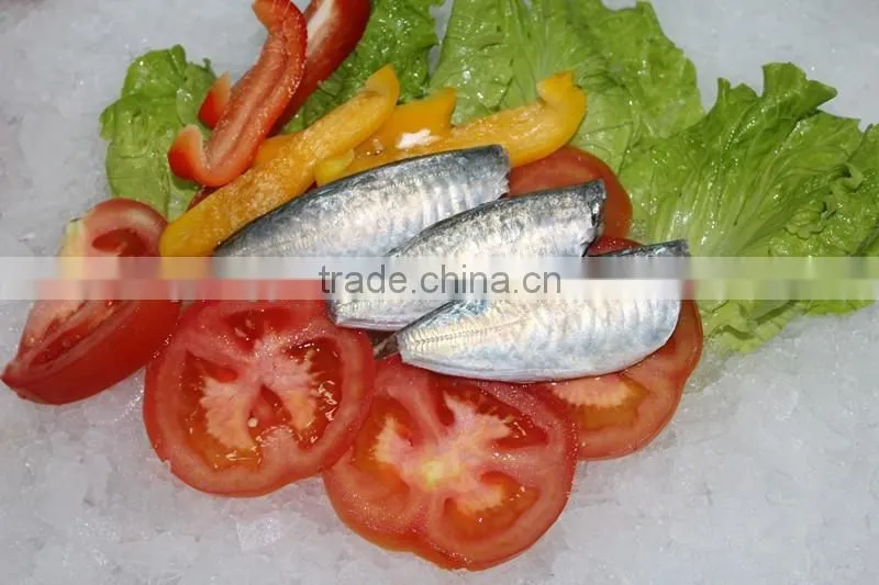 wholesale fishing frozen yellow tail horse mackerel fish