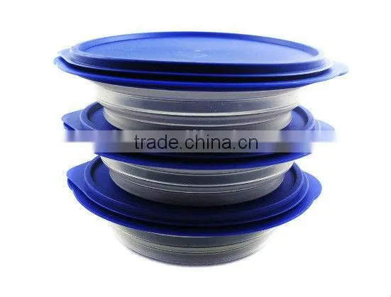 Foldable Silicone Pet Travel Bowl with Lid