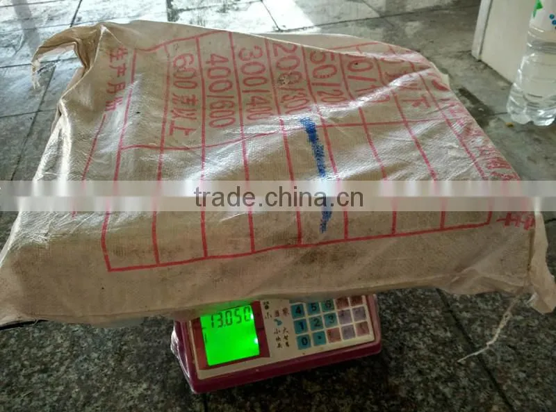 Frozen illex squid price, seafrozen jigger catch illex squid