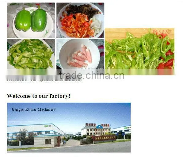 hot sales Apple juice production line(automatic)
