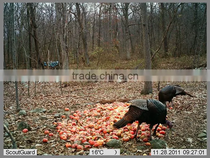 PIR snesitivity pir camera hunting