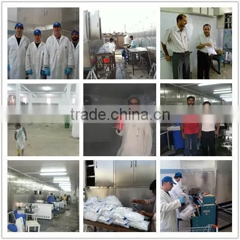 Best Selling Cheap Commercial Ice Making Machine In Africa