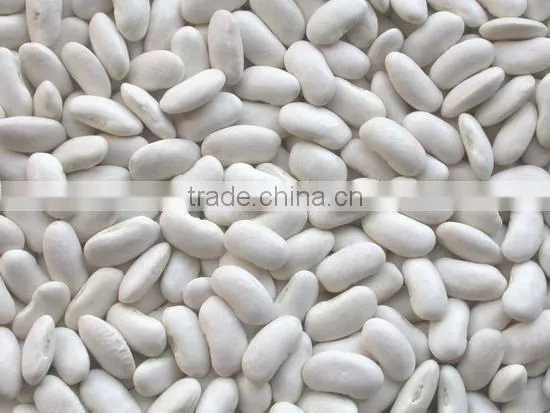 2013 crop Canada Red Kidney Beans