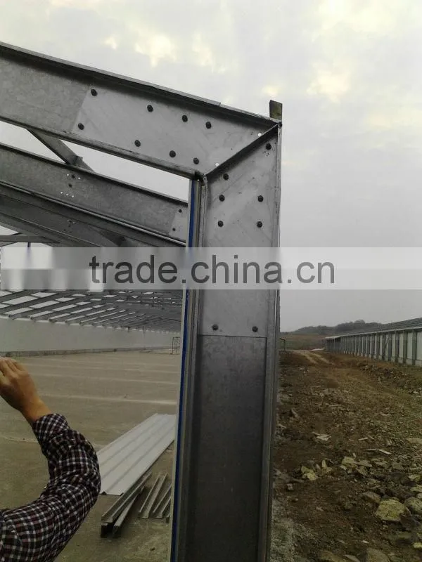 poultry chicken layer broiler sheds/house building design