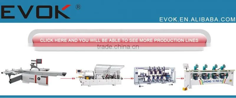F3200 45 Precision sliding table saw/table saw