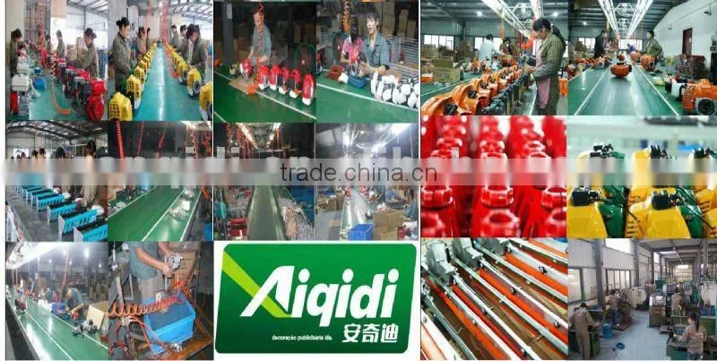 Gasoline Water Pump WB10CX(1E40F-5D)