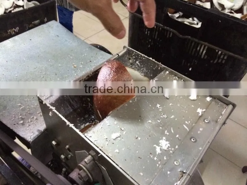 centrifugal oil separator are selling in China