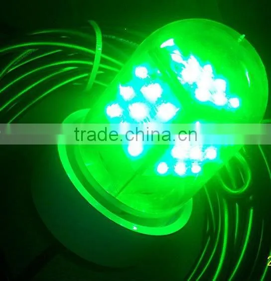 LED 12 Volt Submersible Fishing lamp