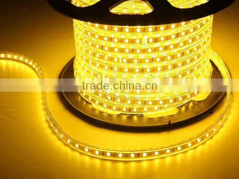 High Brightness LED 5050 Waterproof Flexible Led Strip Lights 220v
