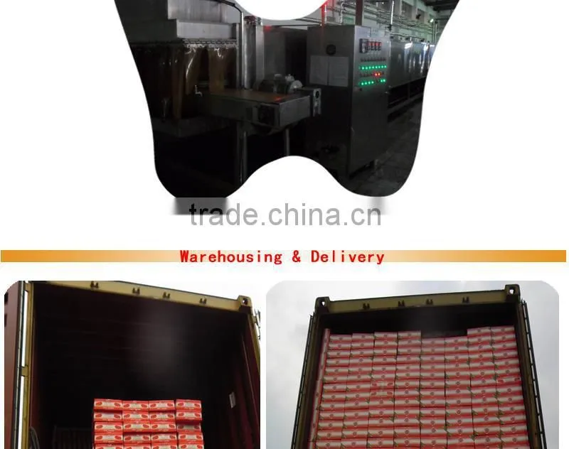 Small tomato paste machine for easy open lid 70gX50tins