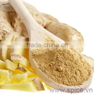 GINGER POWDER