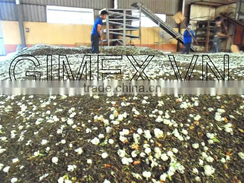 Jasmine TEA OF Gimex Viet nam